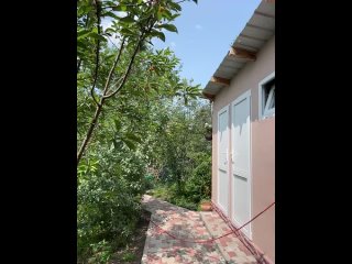 video by chaturbate 18 (porno cams models)