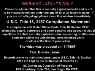 04 brenda james - [mfst] january 28, 2008 big tits big ass mature