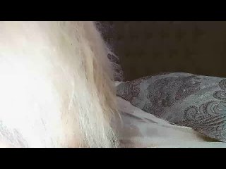 olesya 2026 01 20 18 07 37 450